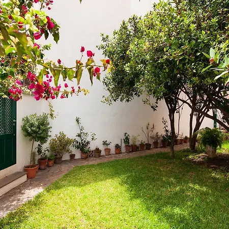 Holiday Home Villa Carmita Bajamar Tenerife Villa